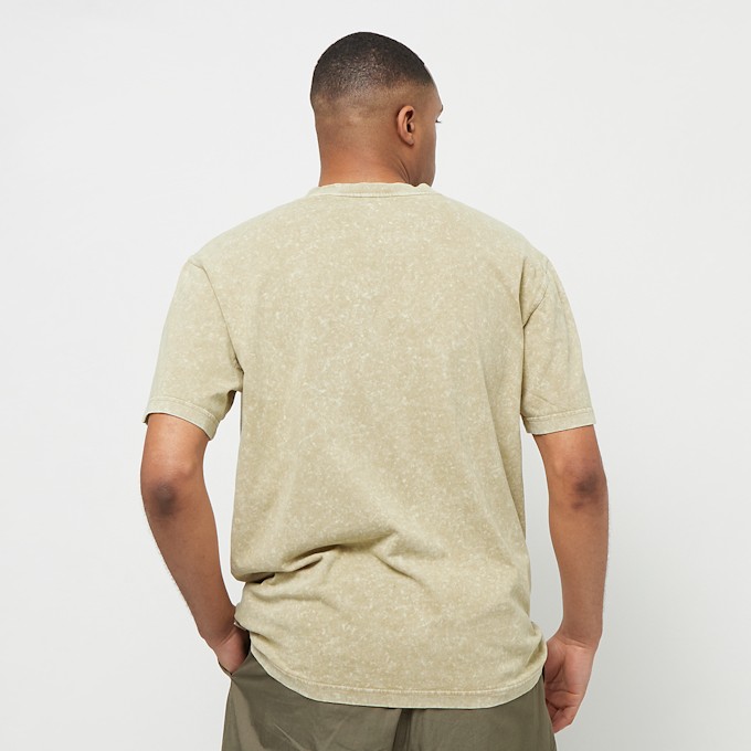 Dickies Newington Tee Shortsleeve zelena 30670 2