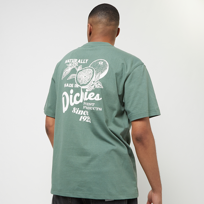 Dickies Raven Tee Shortsleeve zelena 30672 1