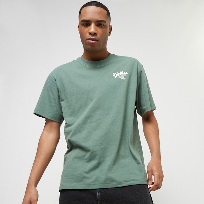 Dickies Raven Tee Shortsleeve zelena 30672 2