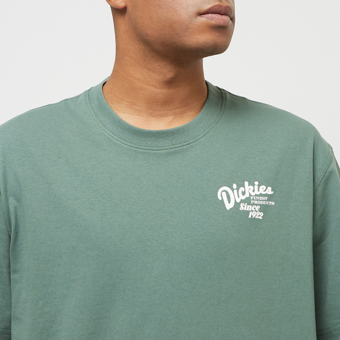 Dickies Raven Tee Shortsleeve zelena 30672 3