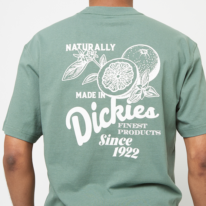 Dickies Raven Tee Shortsleeve zelena 30672 4