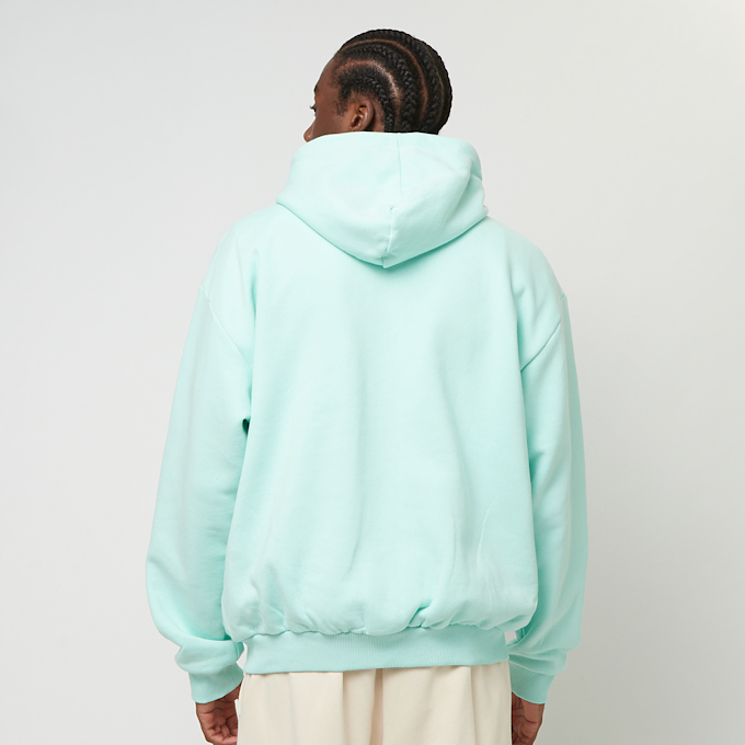 Karl Kani Small Signature Essential Oversized Zip Hoodie turqoise 30692 2