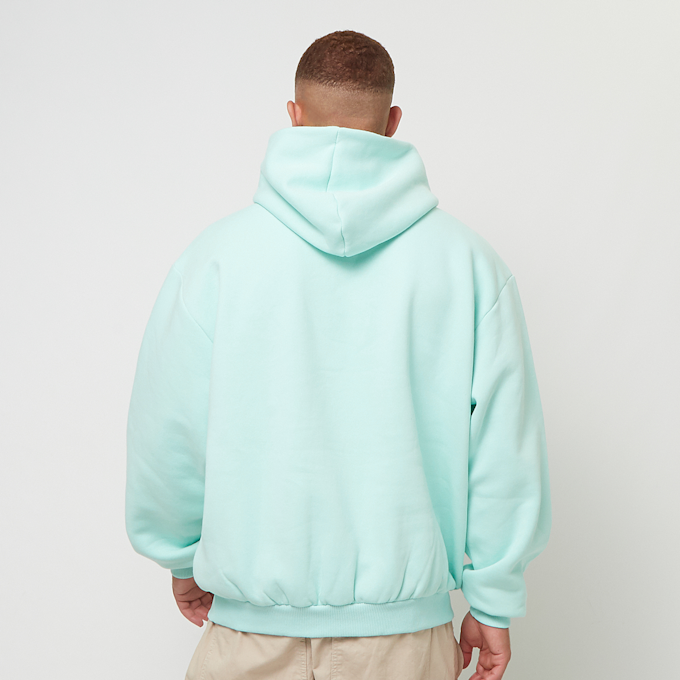 Karl Kani Small Signature Essential Oversized Hoodie türkis 30694 2