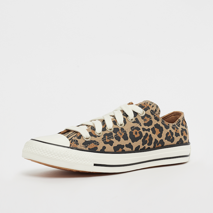 Converse Chuck  Taylor All Star marrón 31478 2