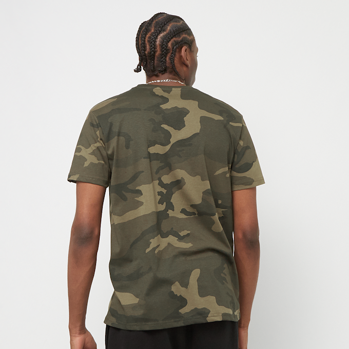 Alpha Industries Basic T-Shirt Camo camouflage 31762 2