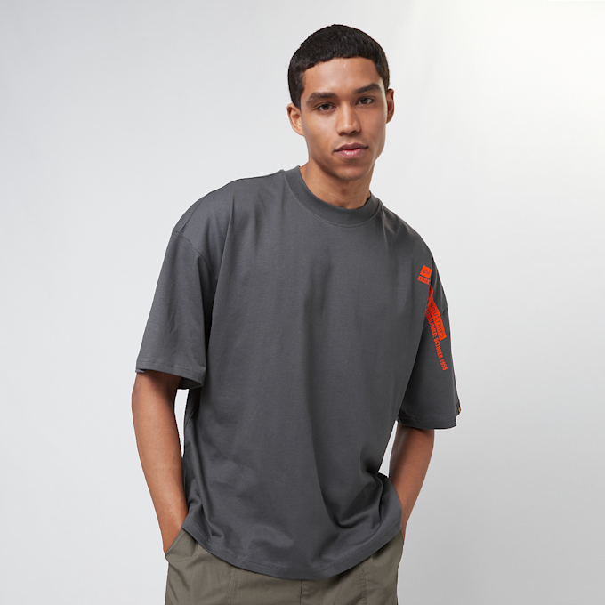 Alpha Industries Flock Logo Tee gris 31776 1