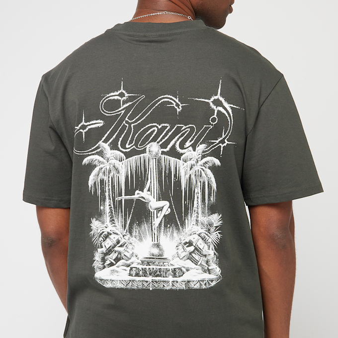 Karl Kani Icy Dancer Backprint Tee grijs 41327 4