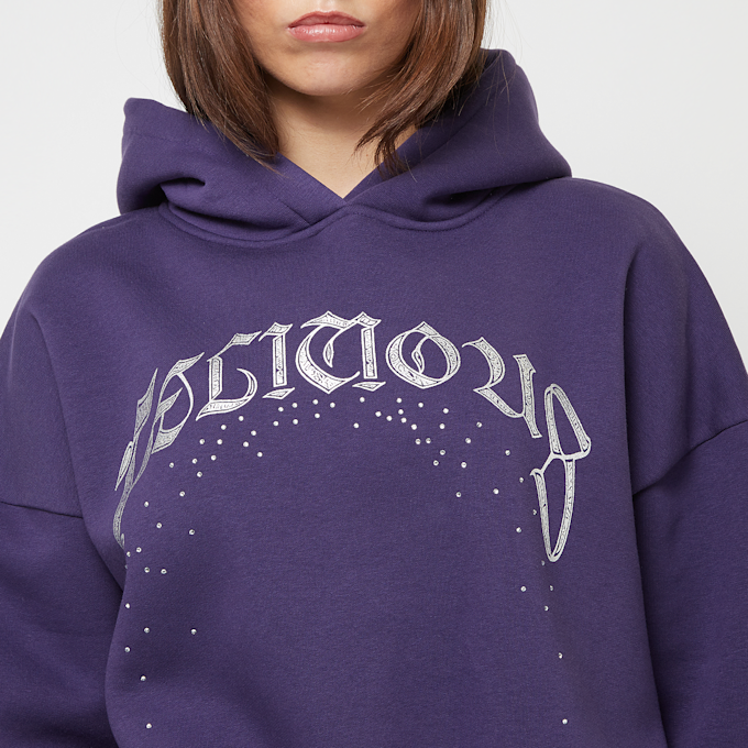 Felicious Regular Hoodie Rhinestones pourpre 29620 3