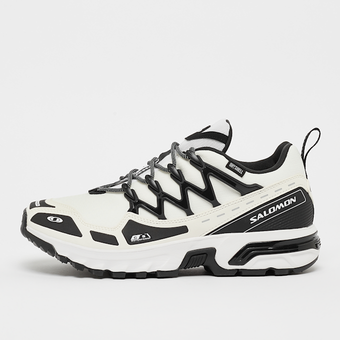 Salomon ACS+ Climasalomon™ Waterproof weiß 30088 1