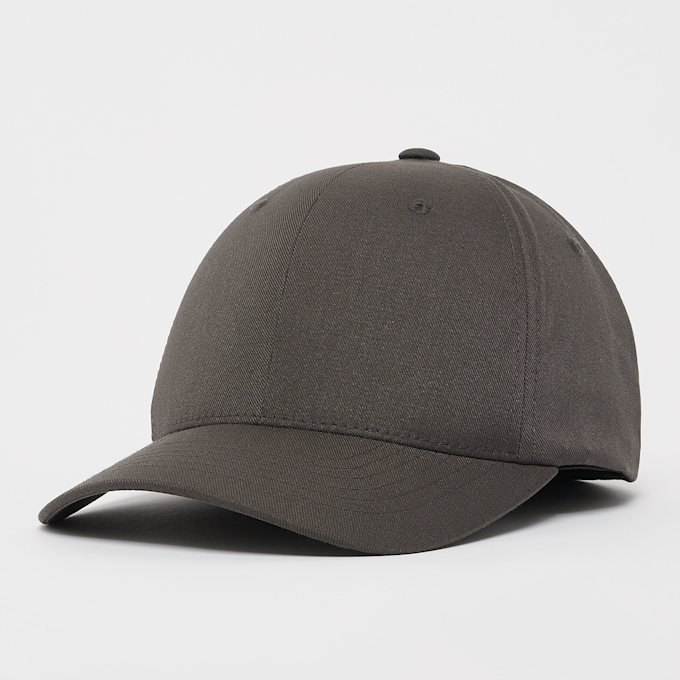 Flexfit Flexfit Cap grijs 33156 1