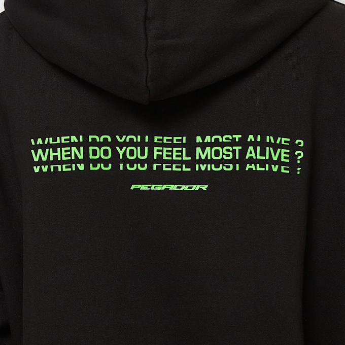 Pegador Edens Oversized Hoodie schwarz 46732 4