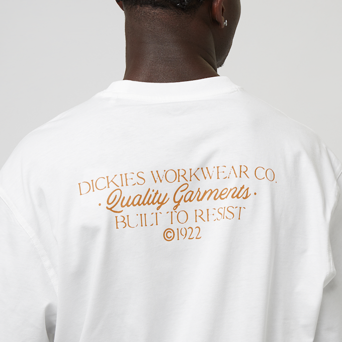 Dickies Globe Tee Short Sleeve bianco 42886 4