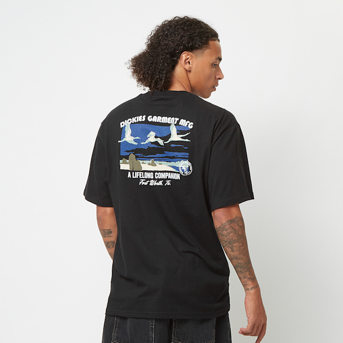 Dickies Companion Tee Short Sleeve czarny 45565 1
