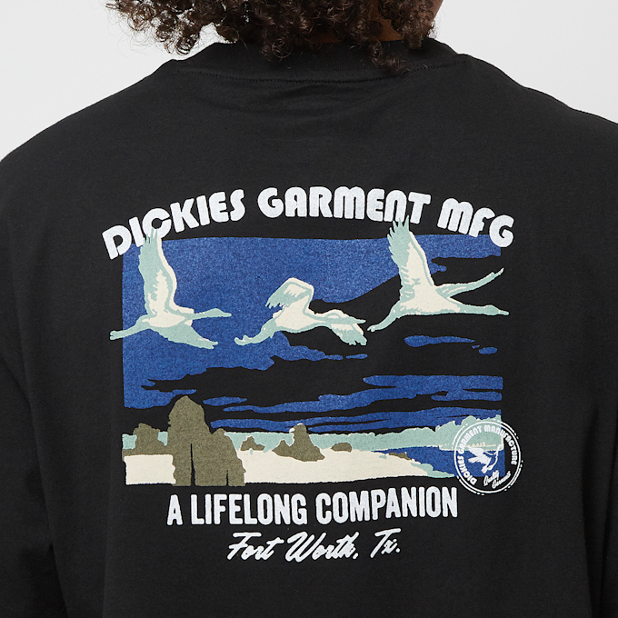 Dickies Companion Tee Short Sleeve czarny 45565 4