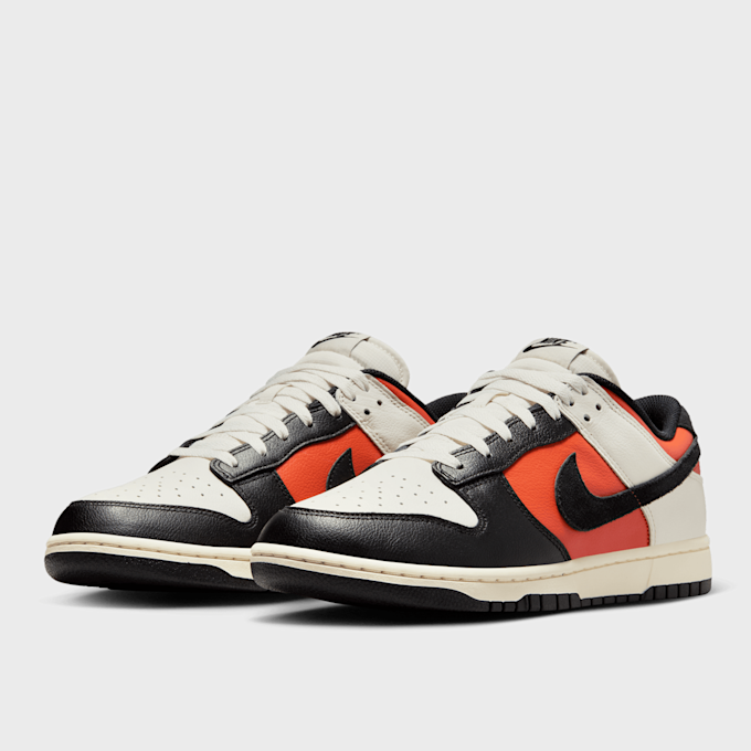 Nike Dunk Low Retro multicolor 40049 4