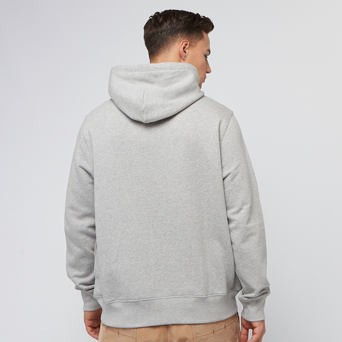 Polo Ralph Lauren Long Sleeve Hooded Sweatshirt gris 44559 2