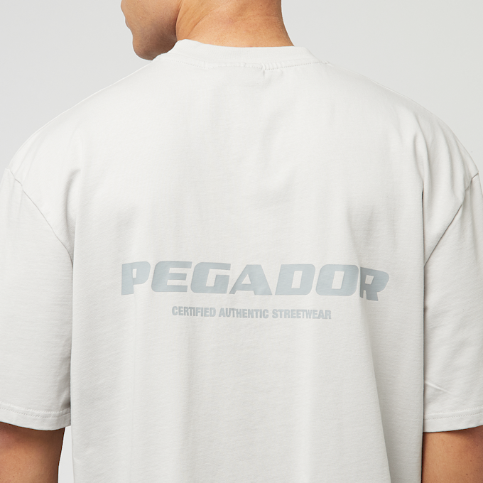 Pegador Colne Logo Oversized Tee siva 40494 4