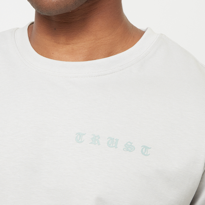 Mister Tee Trust Dove Tee grau 42320 3