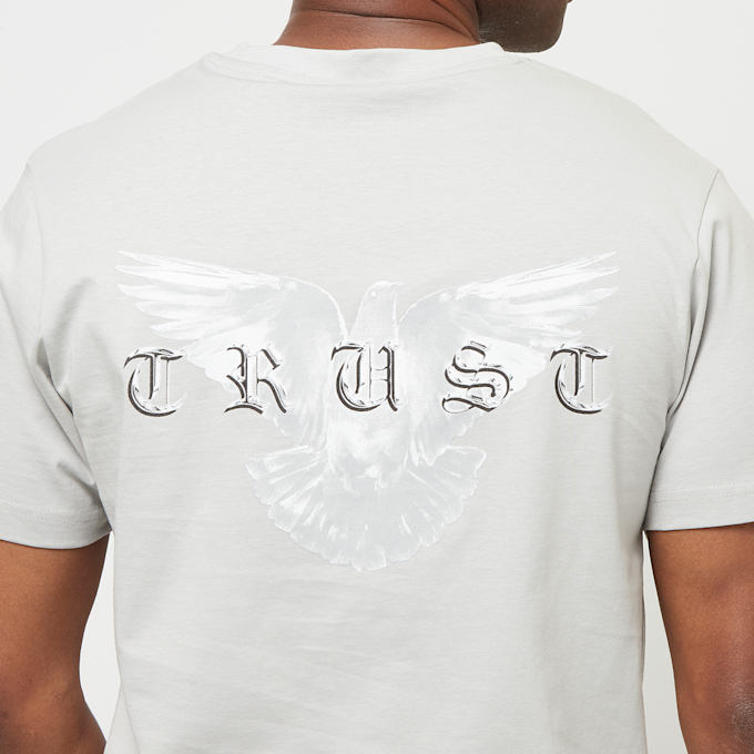 Mister Tee Trust Dove Tee grau 42320 4