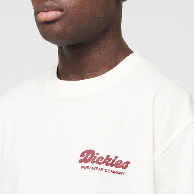 Dickies Lewistown Shortsleeve Tee biały 44675 3