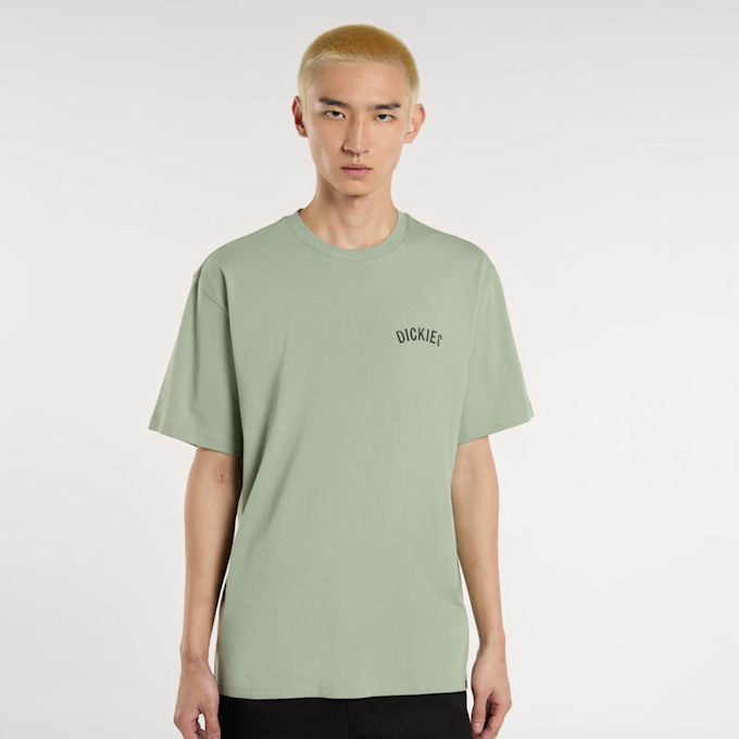 Dickies Snake Tee verde 44656 2
