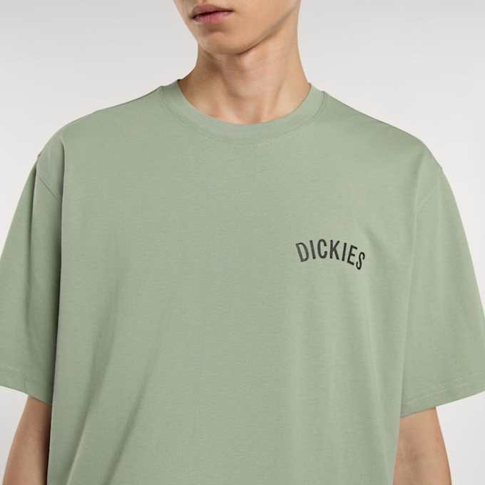 Dickies Snake Tee verde 44656 3