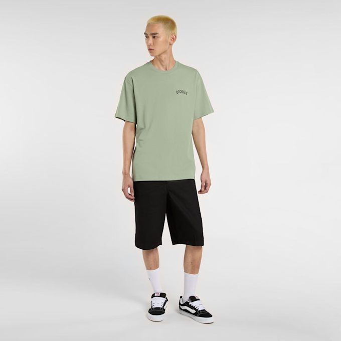 Dickies Snake Tee verde 44656 5