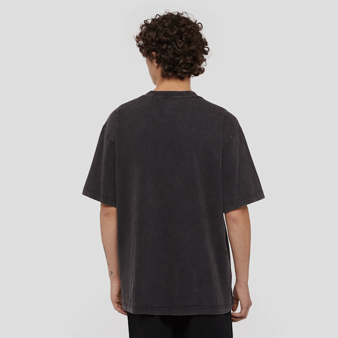 Dickies Plentywood Tee Short Sleeve grau 44688 2