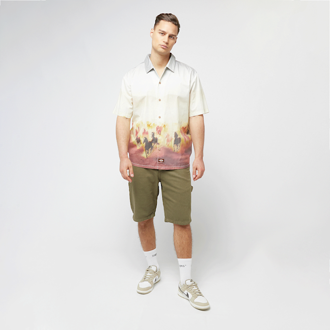 Dickies Garyville Denim Short grün 44770 5
