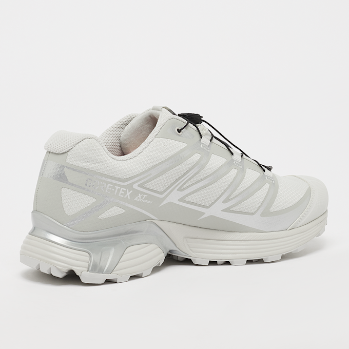 Salomon XT-Pathway GTX grau 44817 3