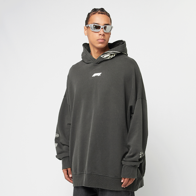 PUMA F1 Hoodie grau 45198 1