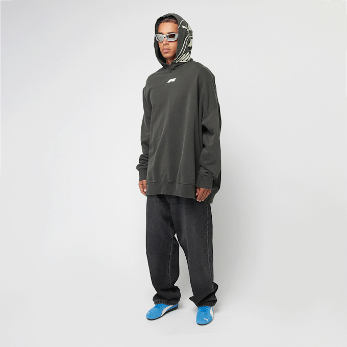 PUMA F1 Hoodie grau 45198 7