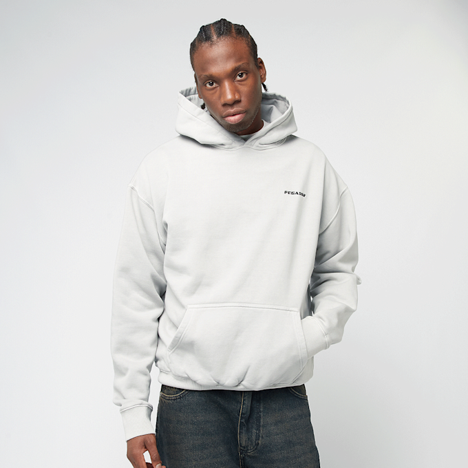 Pegador Logo Oversized Hoodie grau 45763 1
