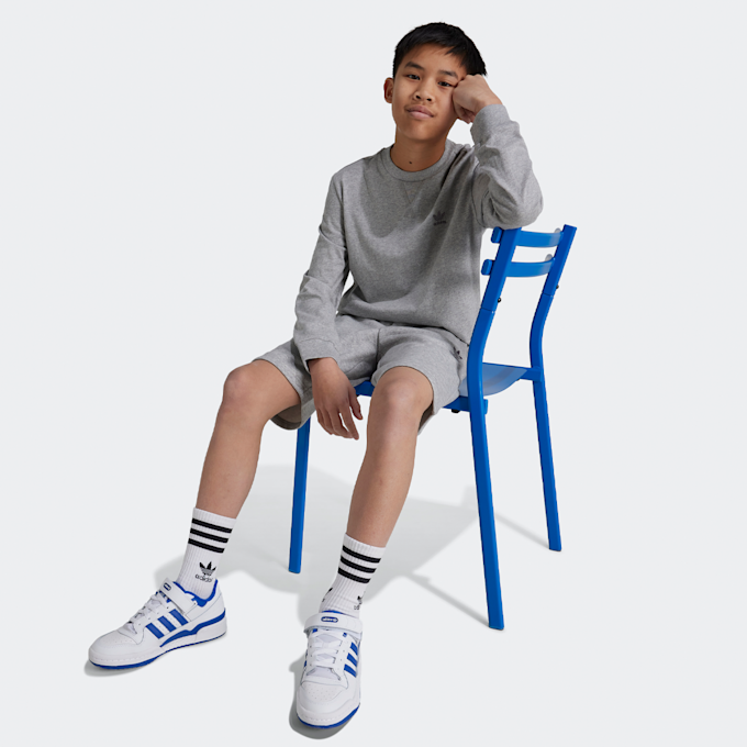 adidas Originals Trefoil Short grijs 45986 4