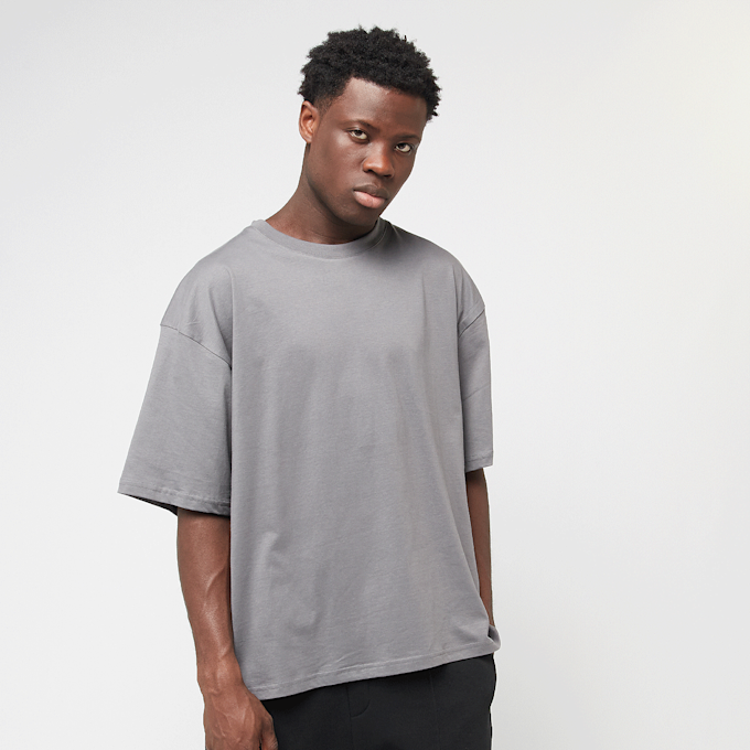 Decibel Cropped Boxy Tee grijs 46166 1
