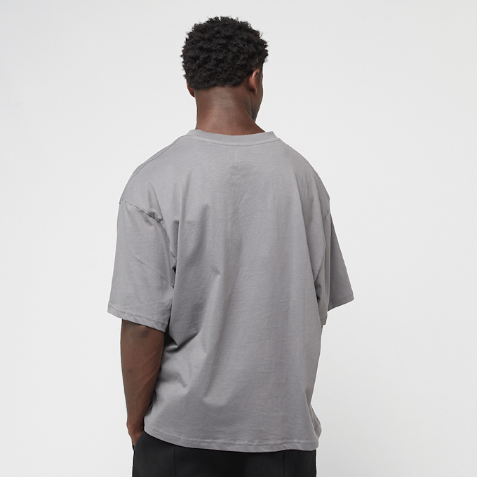 Decibel Cropped Boxy Tee grijs 46166 2