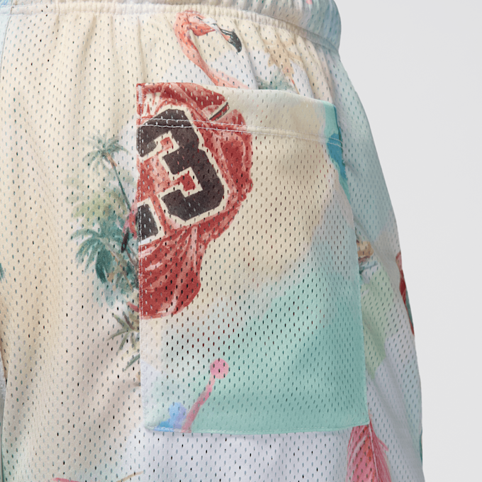 Jordan Essentials All Over Print Mesh-Shorts multicolorido 46877 5