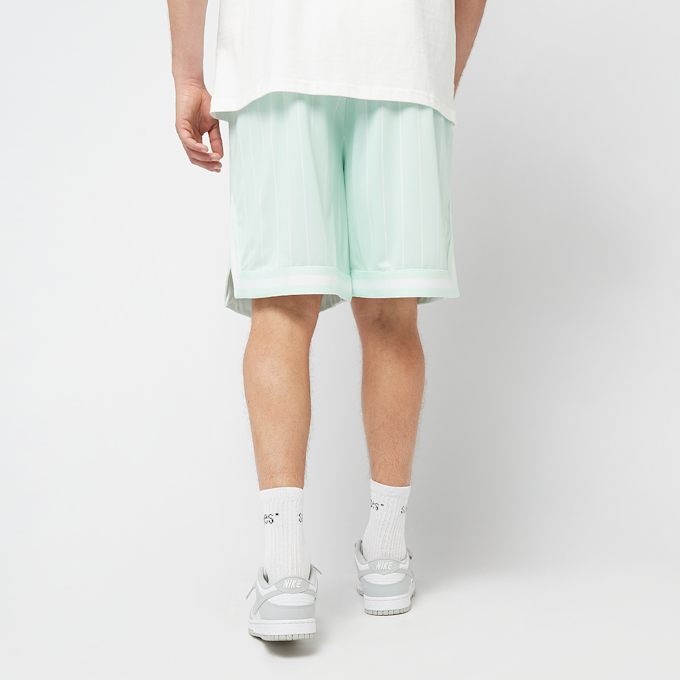 Karl Kani Signature Pinstripe Mesh Shorts vert 46999 2