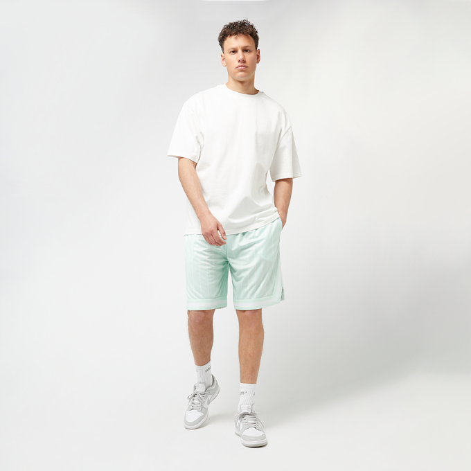 Karl Kani Signature Pinstripe Mesh Shorts vert 46999 5