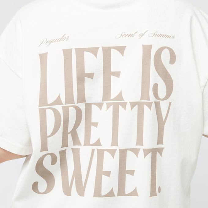 Pegador Tinca Heavy Oversized Tee beige 47207 4