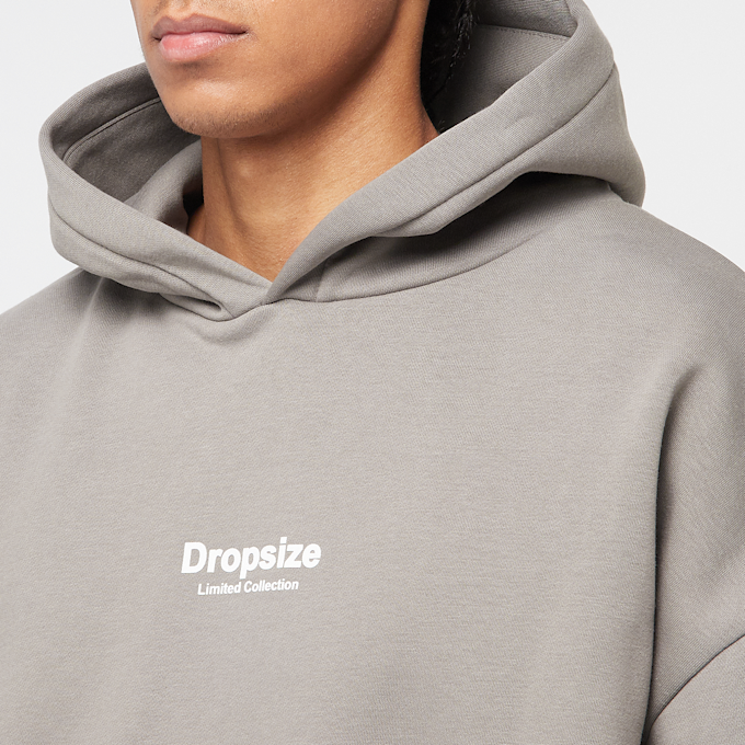 DropSize Heavy Oversize 030 Hoodie grigio 47793 3