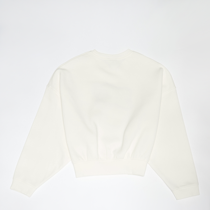 Nike Sportswear Trend Fleece Crop Crew beige 48750 2