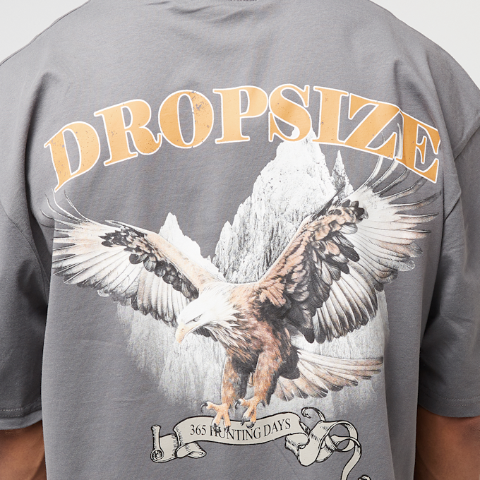 DropSize Heavy Oversized Eagle T-Shirt grijs 48845 4