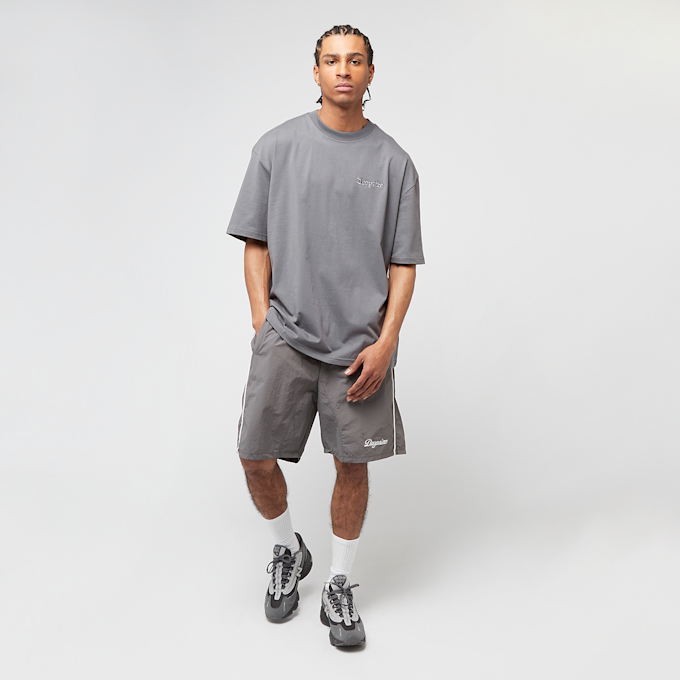 DropSize Heavy Oversized Eagle T-Shirt grijs 48845 5