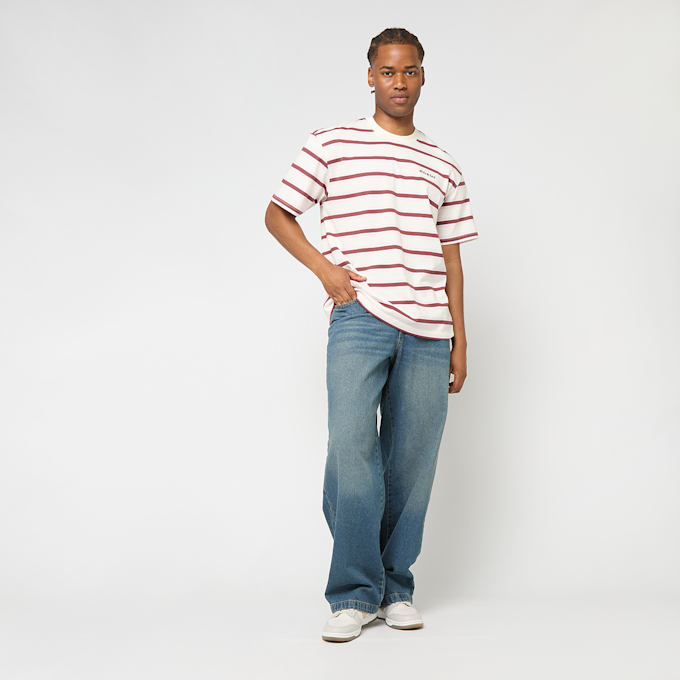 Dickies Hilham Denim azul 48985 5