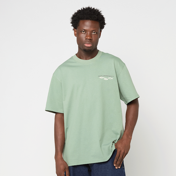 Dickies Laryville Shortsleeve Tee zielony 48992 2