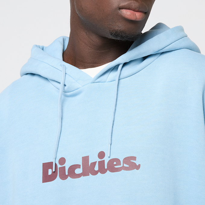 Dickies SLAYDEN GD HOODIE glacier lake blu 48995 3