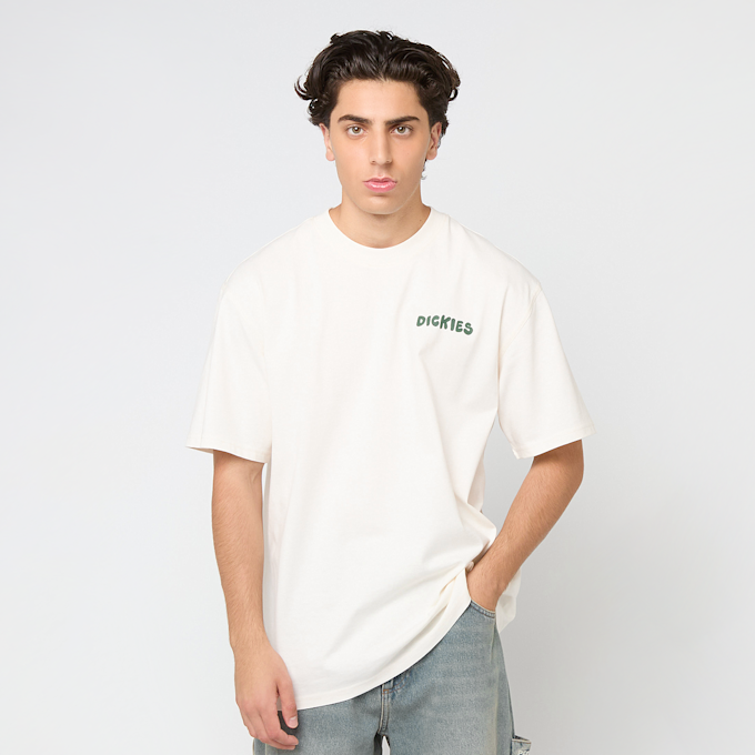 Dickies GORDONSVILLE TEE SS pine needle beige 49001 2