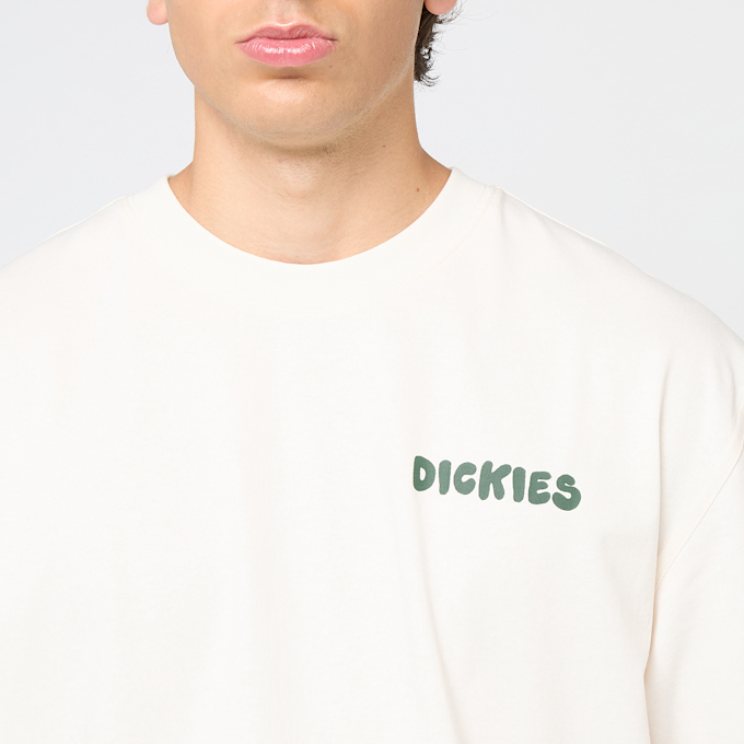 Dickies GORDONSVILLE TEE SS pine needle beige 49001 3