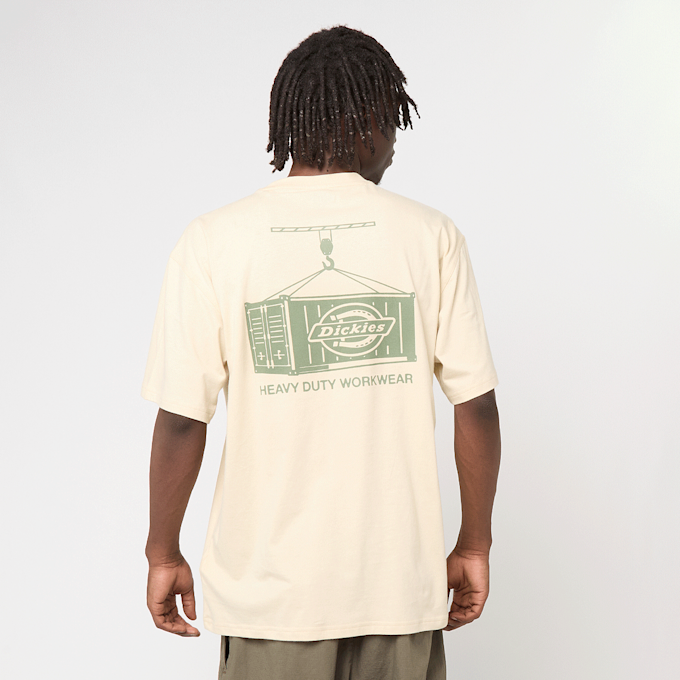 Dickies Apison Shortsleeve Tee beige 49003 1